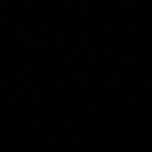 Meet your Posher, Leon